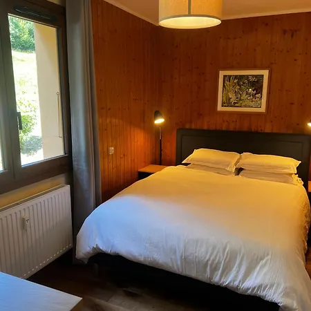 Апартаменты Vue Du Mont-blanc