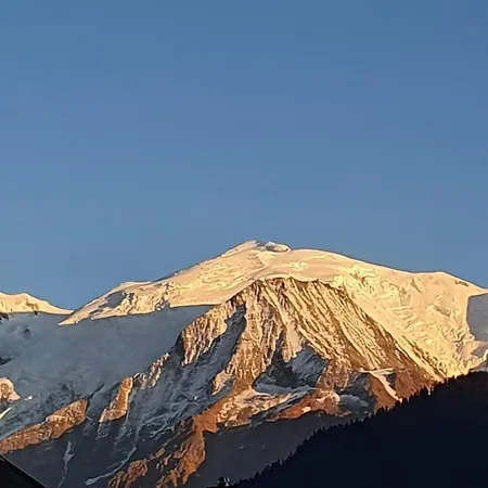 Vue Du Mont-blanc Апартаменты Пасси
