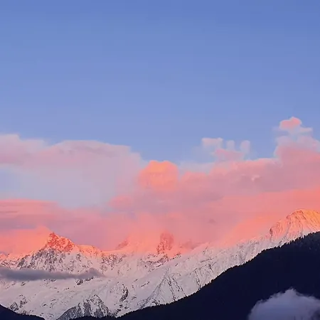 Апартаменты Vue Du Mont-blanc *