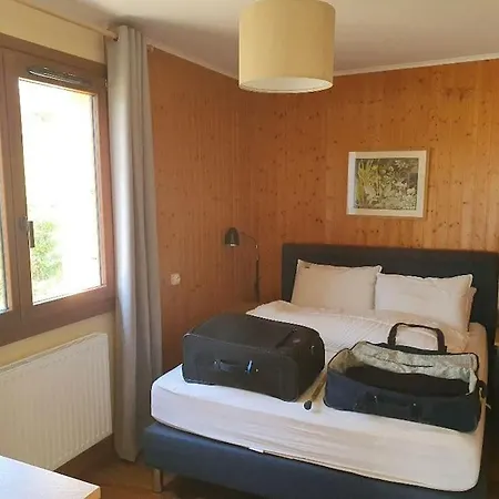 Vue Du Mont-blanc Apartment